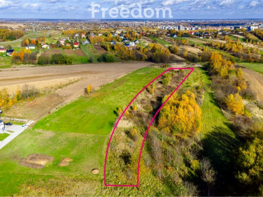 Działka Kielanówka