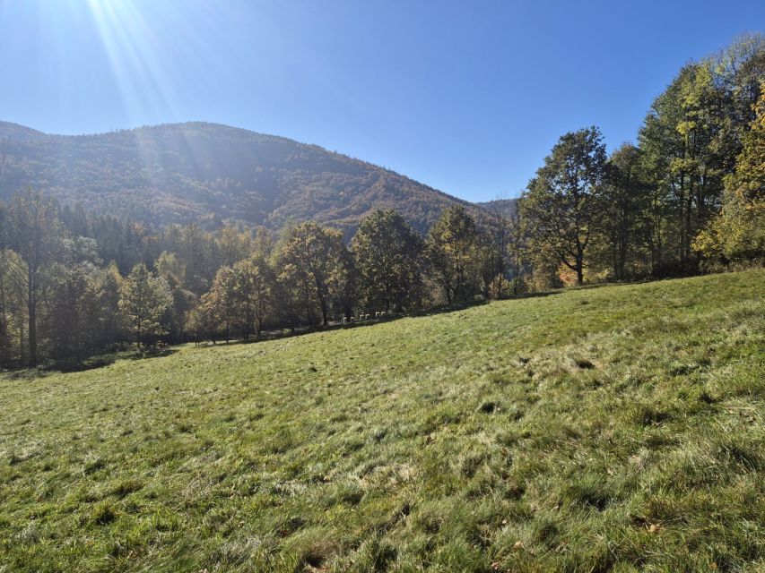 Działka budowlano-rolna Brenna