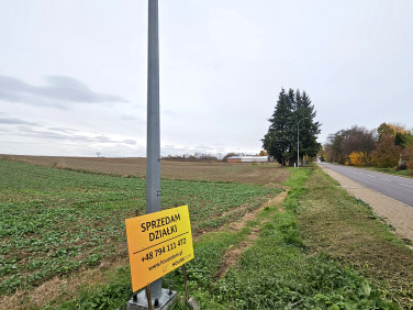 Działka Nałęczów