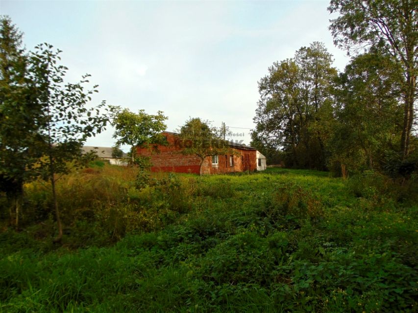 Działka siedliskowa Grabowiec