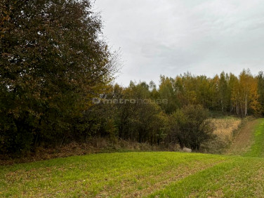 Działka rolna Rozdoły