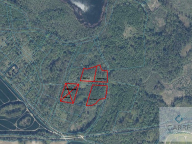 Działka rolna Jelenin sprzedam