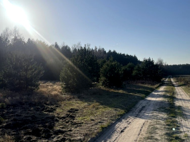 Działka budowlana Ruda sprzedam