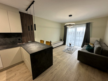 Mieszkanie Skórzewo