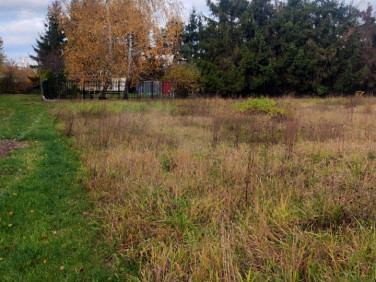 Działka usługowa Stara Iwiczna