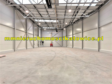Budynek użytkowy Katowice wynajem