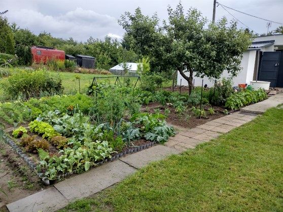 Pokój Aleksandrów Kujawski