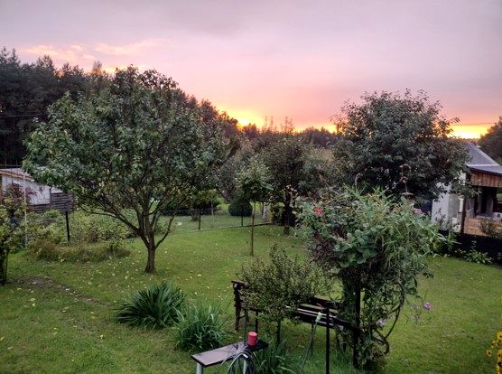 Pokój Aleksandrów Kujawski