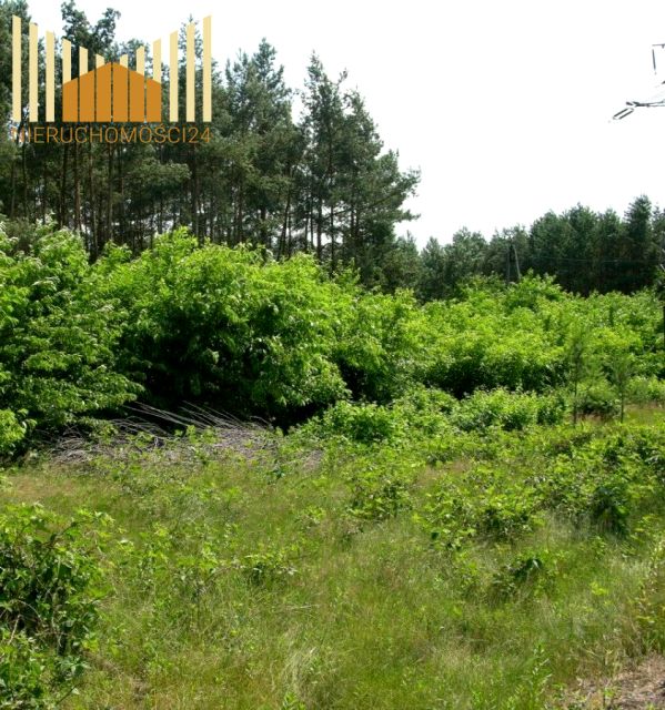 Działka budowlana Józefów