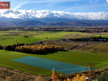 Działka inwestycyjna Wojcieszyce