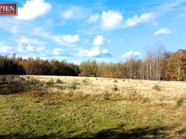 Działka rekreacyjna Gierczyn