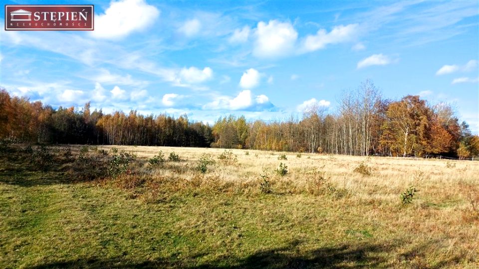 Działka rekreacyjna Gierczyn