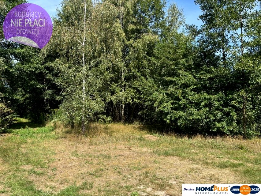 Działka przy lesie