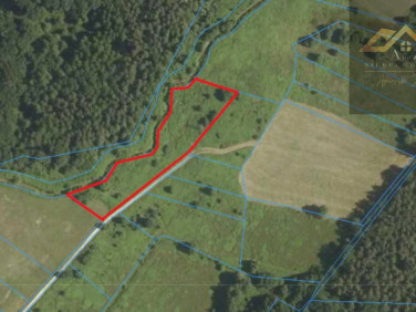 Działka rolna Biadoliny Radłowskie