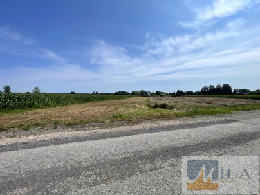 Działka budowlana Dąbrowa Szlachecka