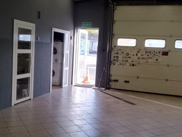 Lokal Poznań wynajem