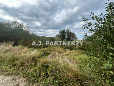 Działka inwestycyjna Rożnowa