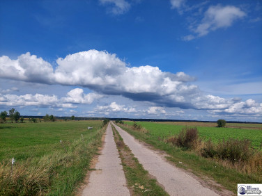 Działka budowlana Brańsk