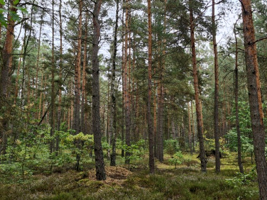 Działka rekreacyjna Osiedle Wilga