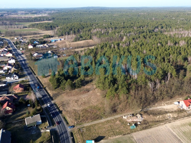 Działka przy lesie