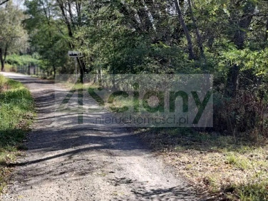 Działka budowlana Regut