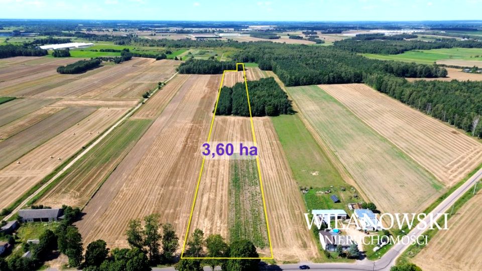 Działka leśna Mdzewko