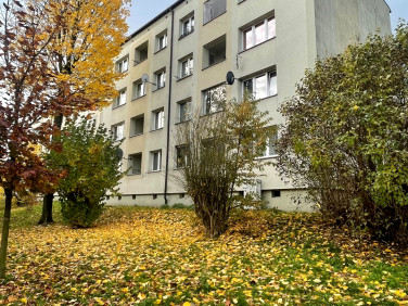 Mieszkanie Rybnik
