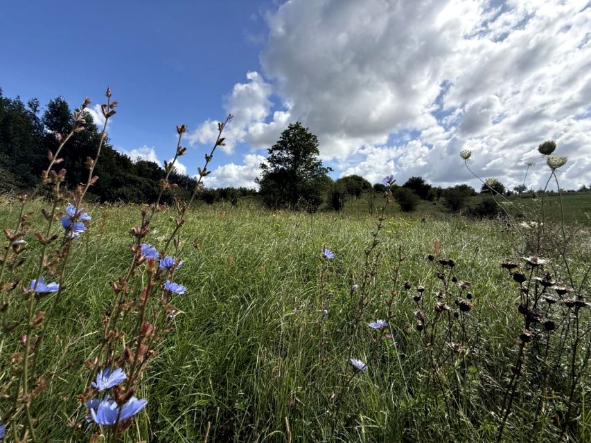 Działka rolna Parleza Mała