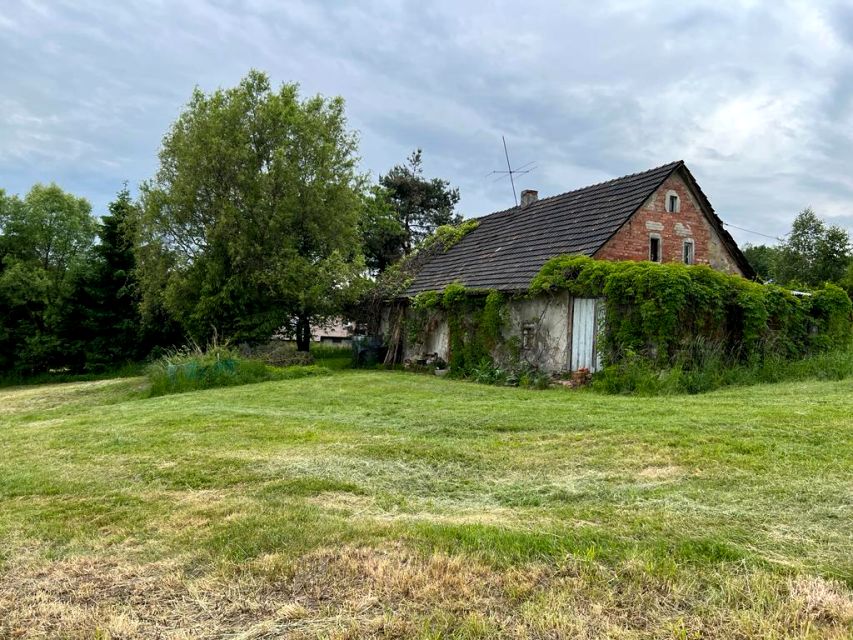 Działka siedliskowa Cieszyn