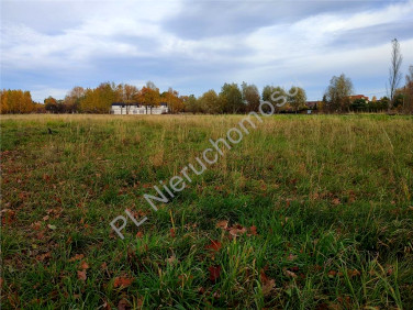 Działka Chrzanów Duży