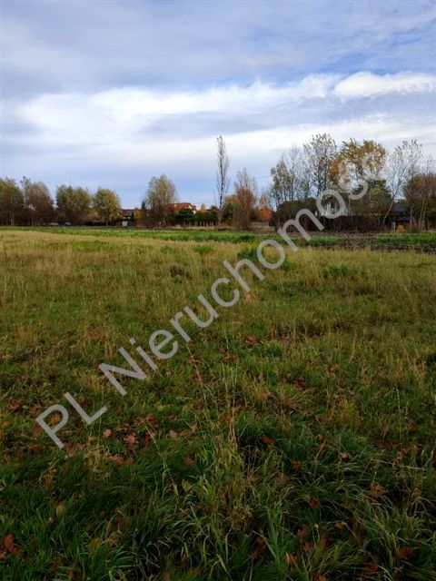 Działka Chrzanów Duży