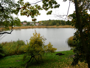 Działka rolna Świebodzin