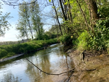 Działka budowlana Jeziora