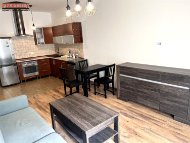 Mieszkanie Łódź wynajem