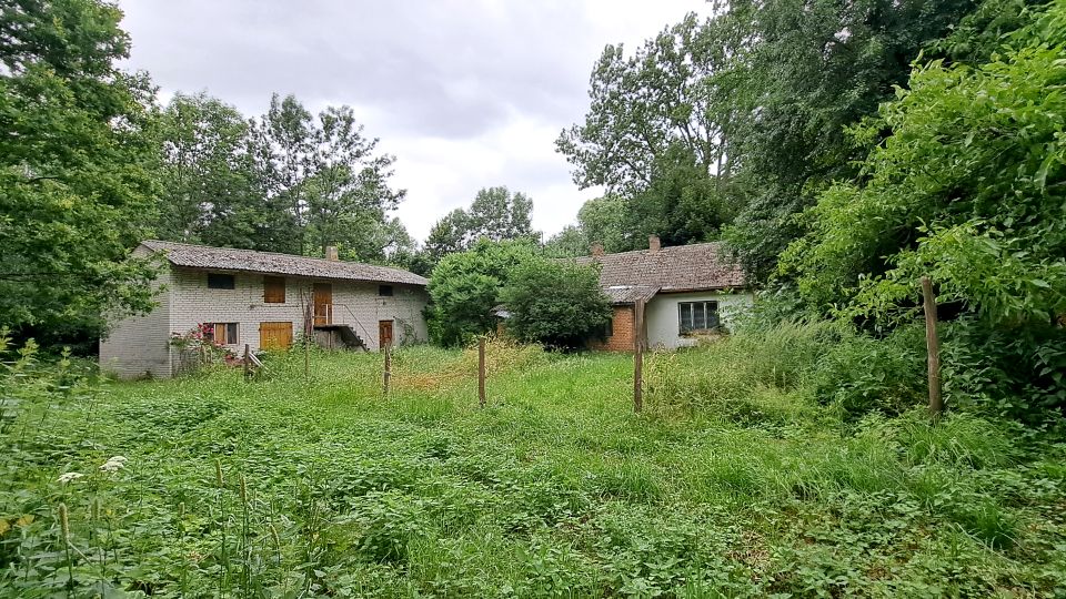 Działka Sędziejowice-Kolonia