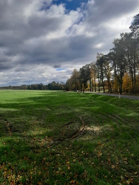 Działka budowlana Dylaki sprzedam