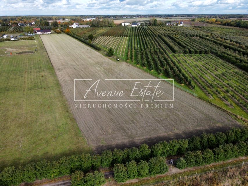 Działka budowlana Barcice Drwalewskie