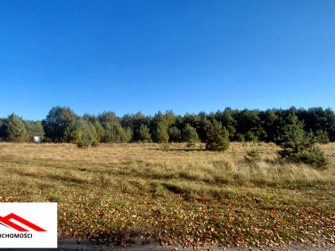 Działka budowlana Kominy sprzedam