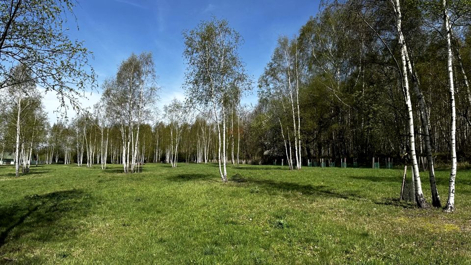Działka rekreacyjna Nowa Wieś