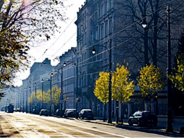 Lokal Kraków