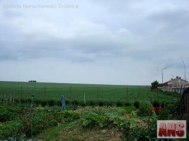 Działka przemysłowa Jagodnik