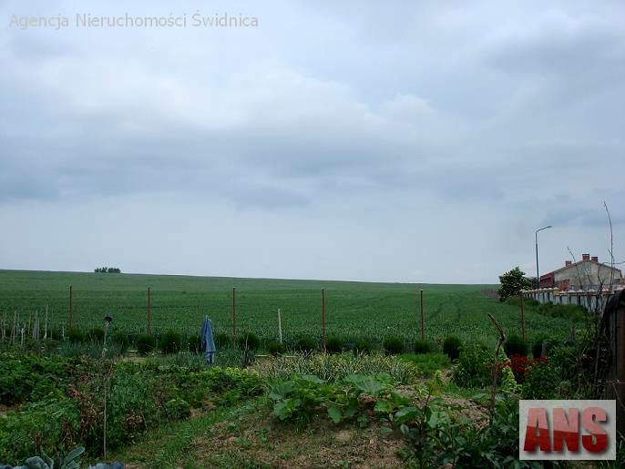 Działka przemysłowa Jagodnik