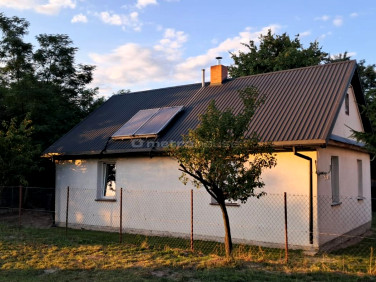 Dom Kolechowice-Kolonia