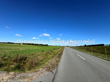 Działka inwestycyjna Trzeciewiec