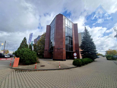 Lokal Warszawa