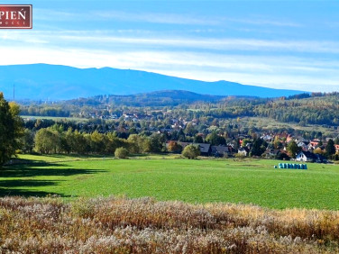 Działka Jeżów Sudecki