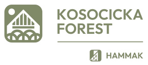 Kosocicka Forest