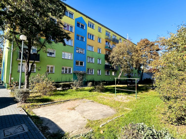 Mieszkanie Nowa Sól