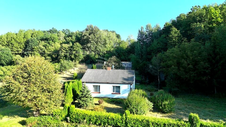 Dom Skomorochy Duże