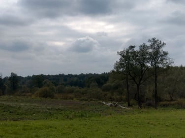 Działka Żelazówka
